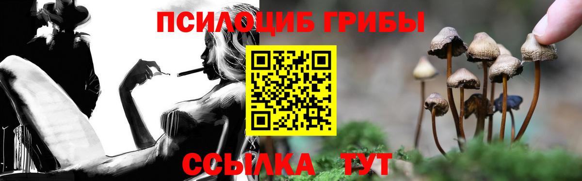 Псилоцибиновые грибы мицелий  Галлюциногенные грибы Cubensis  Вход с VPN  Нижнеудинск 
